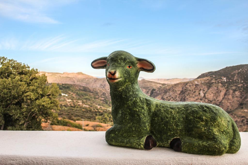 La Oveja Verde De La Alpujarra Питрес Экстерьер фото